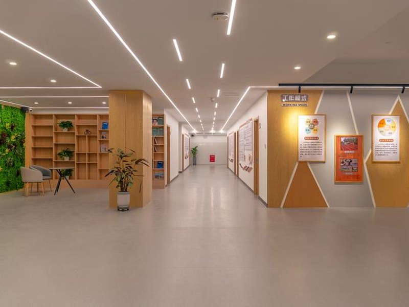 心理诊疗环境建设要点与设备配置方案(2) 心理诊疗环境布置